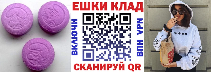 ЭКСТАЗИ TESLA  Купить закладки  Гатчина 