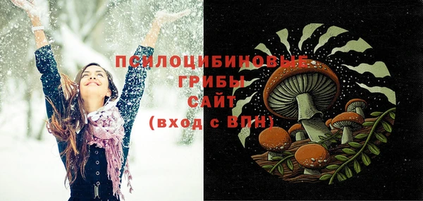 2c-b Верхнеуральск