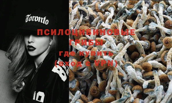 СК Бугульма