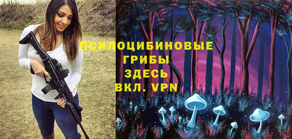 2c-b Верхнеуральск
