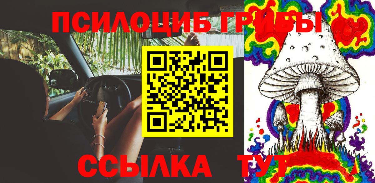 Псилоцибиновые грибы Cubensis Гатчина