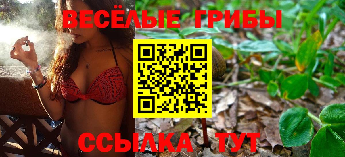 Гатчина  Галлюциногенные грибы мицелий  Вход с VPN  Галлюциногенные грибы Magic Shrooms 