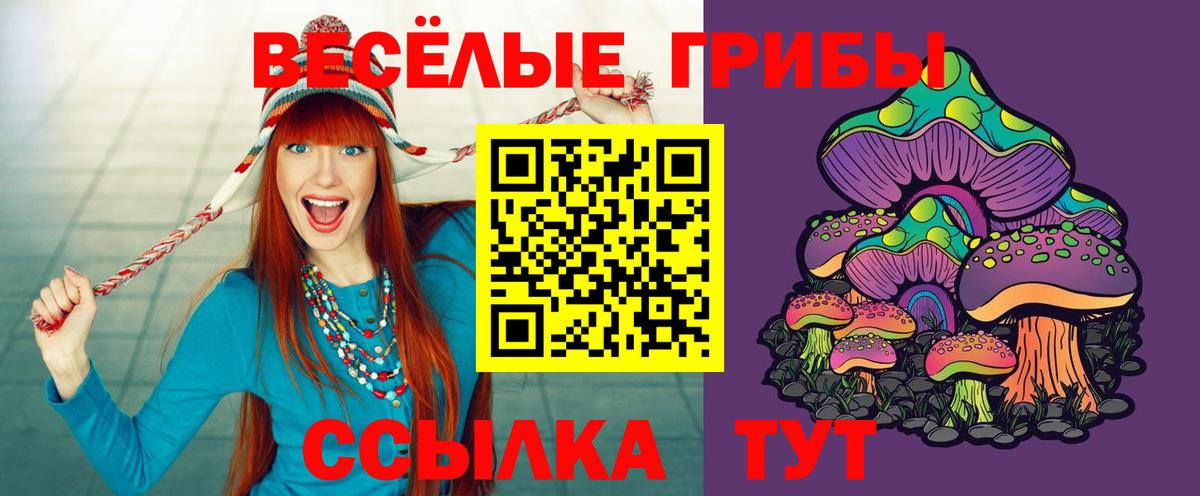 ГАШ  АМФ   Мефедрон кристаллы  NBOMe  Конопля  Мефедрон   COCAIN  Гатчина  Альфа ПВП СОЛЬ  