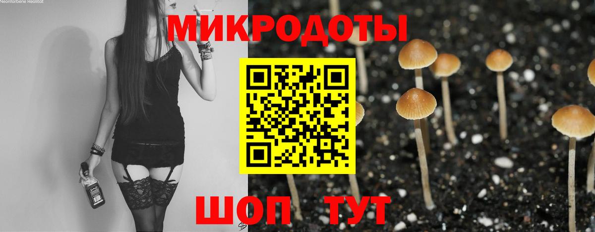 Псилоцибиновые грибы ЛСД  Гатчина 