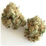 Шишки "White Widow"  (Белая вдова)  Гидропоника -  Бошка VHQ в Гатчине